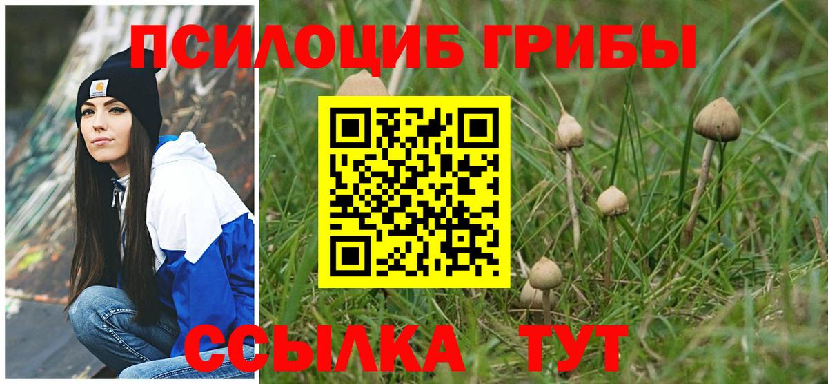 Тольятти  Галлюциногенные грибы Psilocybe  наркошоп  Вход с VPN 